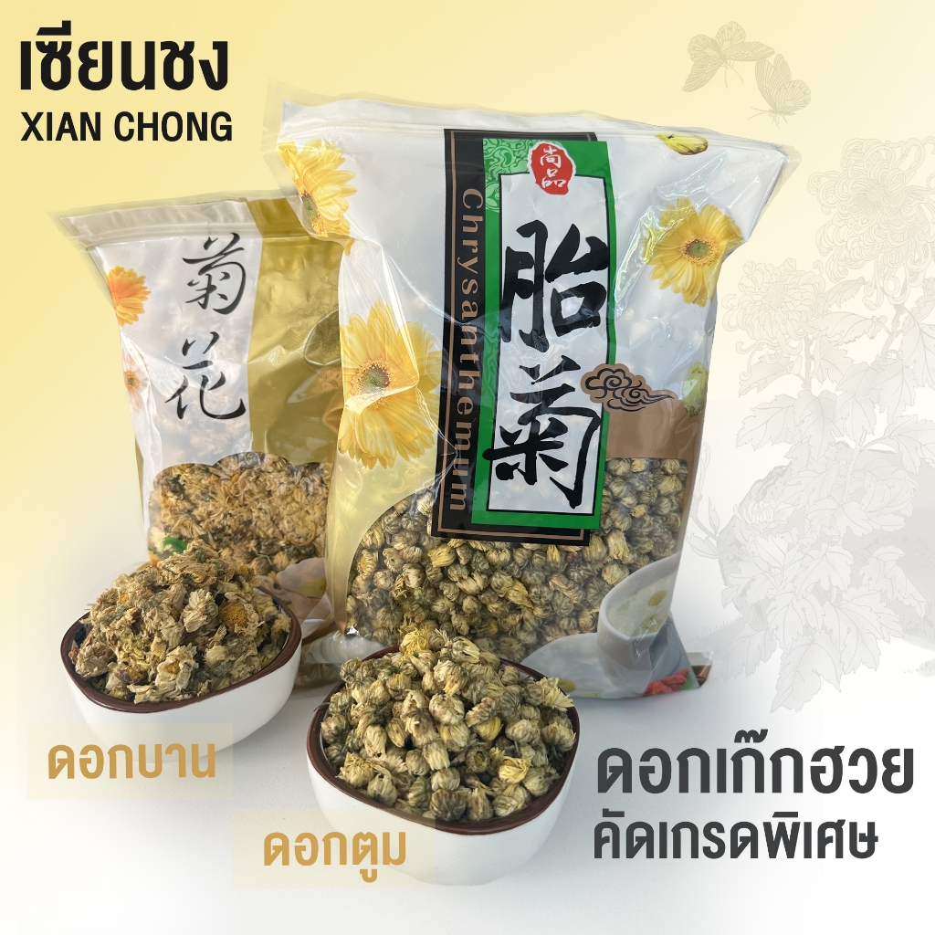 เซียนชง ดอกเก๊กฮวยคัดเกรดคุณภาพสูง ดอกบาน 100g 200g 400g/ดอกตูม 50g 200g 400g