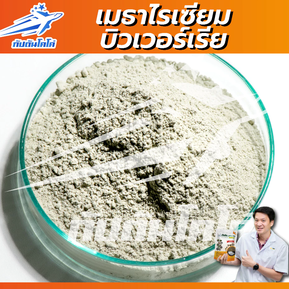 กัปตันเมธาบิว สูตรเข้มข้นเชื้อ 2 เท่า อัพอาหารเชื้อ แบบผง(500กรัม)  ปลอดภัย 100% thumbnail 4