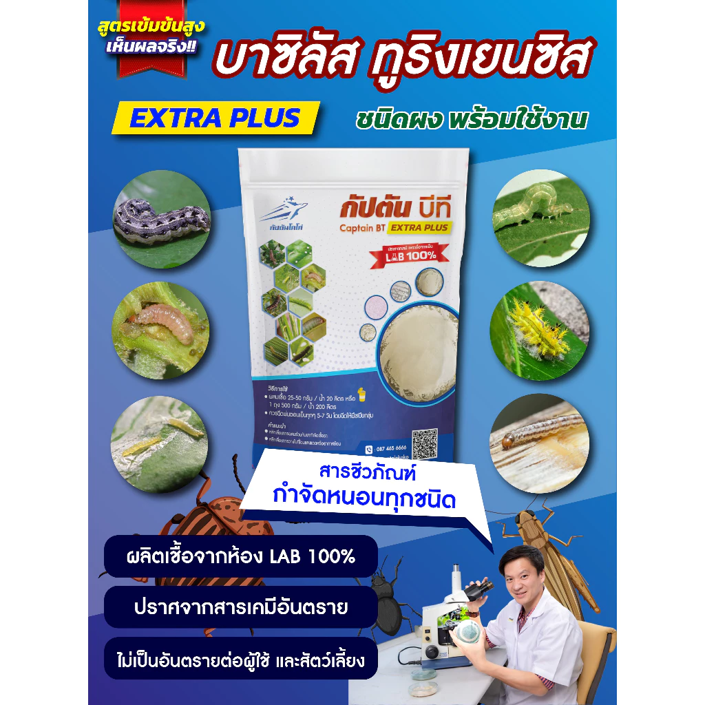 กัปตันบีที Bt สูตรเข้มข้น Bacillus Thuringiensis กำจัดแมลง thumbnail 4