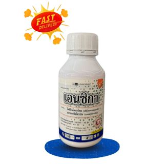 เอนซิกา 500ซีซี (ไดฟีโนโคนาโซล+อะซอกซีสโตรบิน) ป้องกันกำจัดโ…