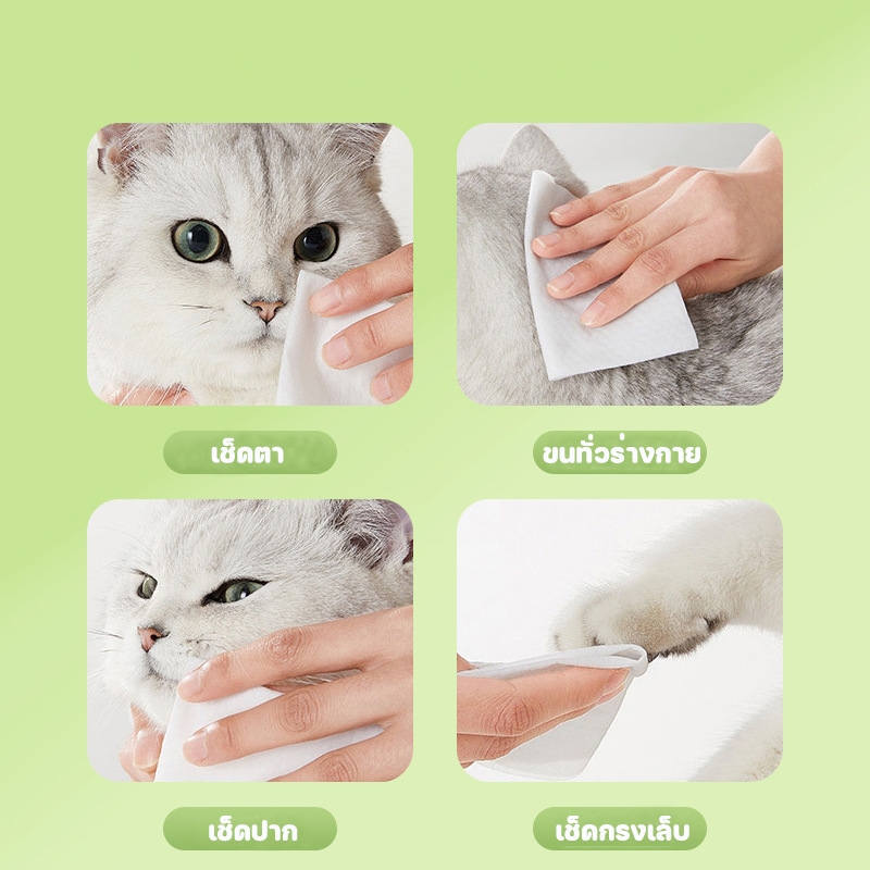 ซื้อ 2 แถม 2 ทิชชู่เปียกสำหรับสัตว์เลี้ยง รูปที่ 3