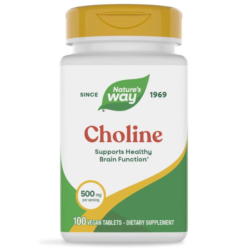 ฉลากใหม่ !!! โคลีน Nature's Way, Choline, 500 mg, 100 Vegan Tablets