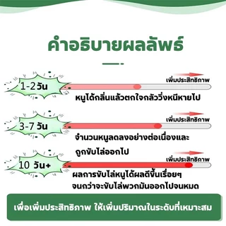 ลูกเหม็นไล่หนู แร็ท คิลเลอร์ ยาเบื่อ หนู เมตร ไล่หนู ยาไล่หนู ไล่หนูถาวร สูตรสมุนไพร ยาฆ่าหนูยกรัง ยาหนูตายแห้ง