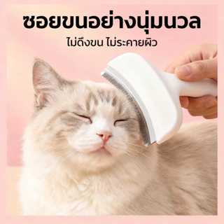 แปรง/หวีสำหรับสัตว์เลี้ยง 2-in-1: แปรง/หวีสำหรับสัตว์เลี้ยง …