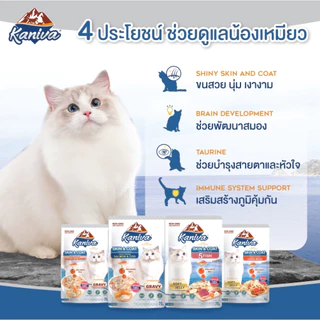 Kaniva Skin&Coat คานิว่า อาหารแมวเปียก สูตรบำรุงขนและผิวหนัง 70g*12ซอง