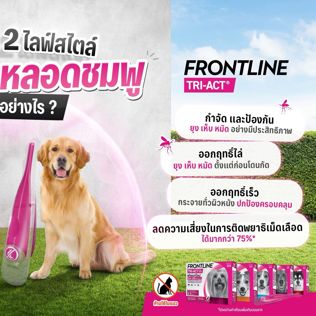 (( ลดราคา ใกล้หมดอายุ )) Frontline Tri act รวดเร็วในการไล่และกำจัด "ยุง"