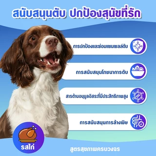 Nutridog Liver Support อาหารเสริมบำรุงตับสุนัข รสไก่ 120 เม็ด บำรุงตับได้ดี