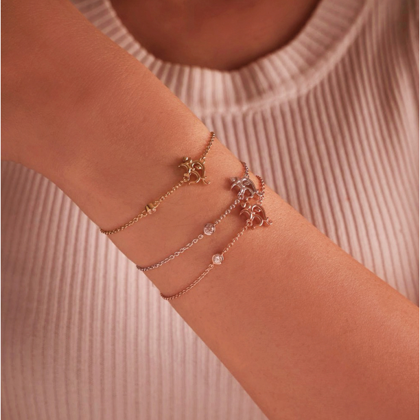 สร้อยข้อมือ รุ่น Devine Artistry
