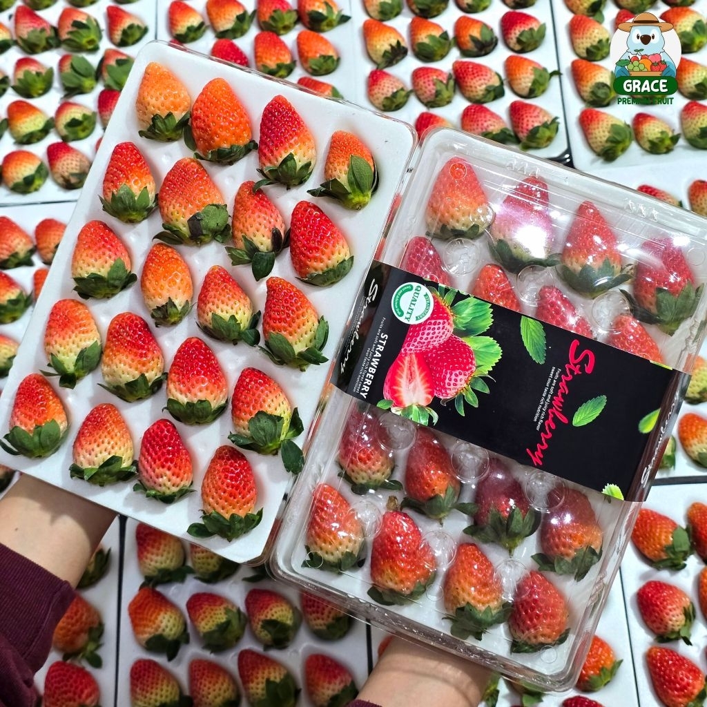 สตอเบอรี่สด 🍓🍓  คัดก่อนส่ง โปรดอ่านรายละเอียดก่อนสั่งซื้อ