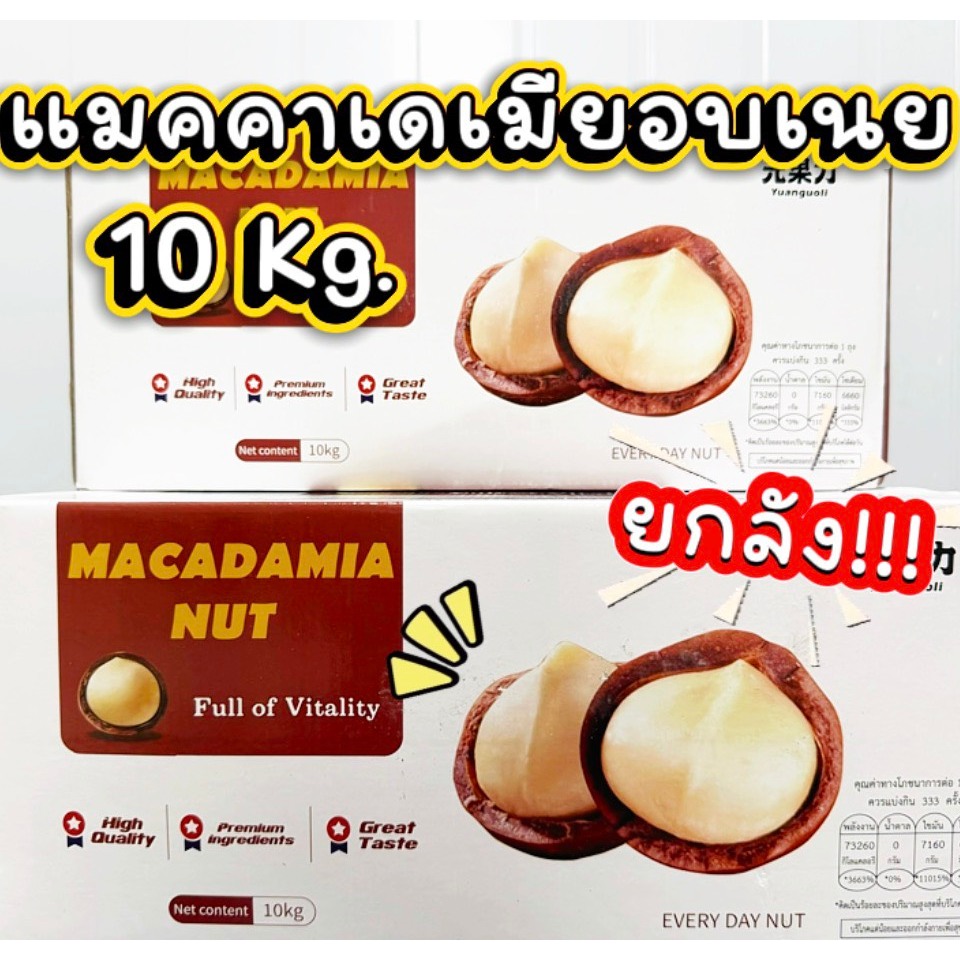 Macadamia แมคคาเดเมียขนาด 5-10 kg. ยกกล่อง สุดคุ้ม เม็ดใหญ่ เต็มเม็ด อบเนย คุณภาพดี คัดพิเศษ (แถมที่แกะเปลือกให้)