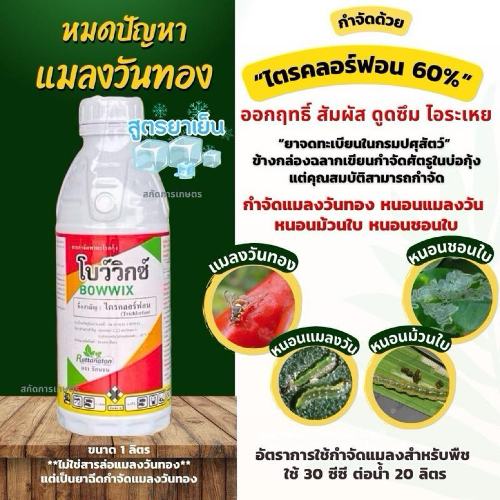 ไตรคลอร์ฟอน แบบน้ำ 60%ใช้กำจัดแมลงวันทองได้ดี กำจัดแมลงวันทอง หนอนชอนใบ หนอนม้วนใบ ออกฤทั้งสัมผัส ดูดซึม ไอระเหย