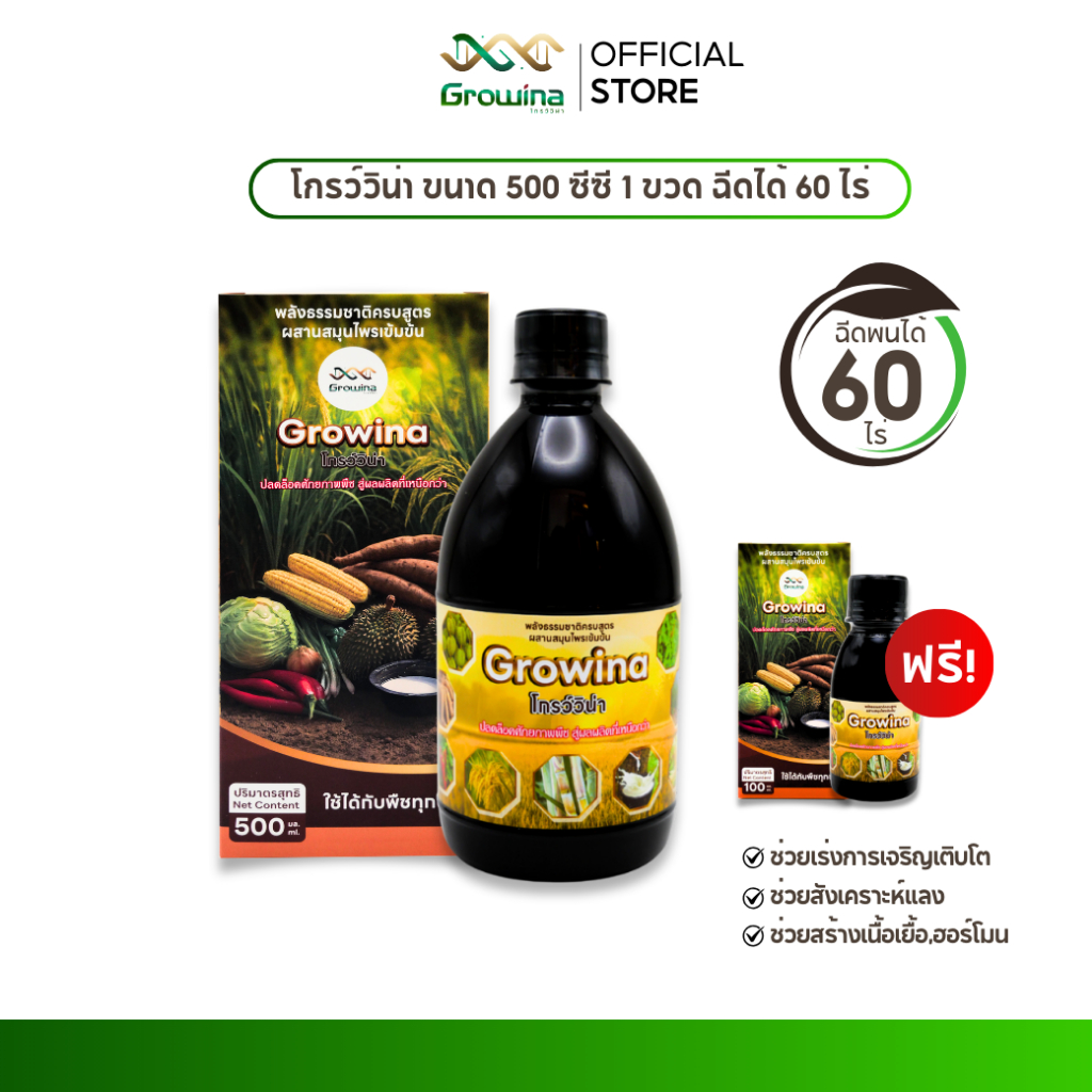 Growina โกรว์วิน่า ฮอร์โมนพืช ลดปุ๋ย ลดต้นทุน เร่งราก เร่งแตกกอ ใบเขียว ต้นใหญ่ 500 ซีซี 1 ขวด + 100 ซีซี 1 ขวด