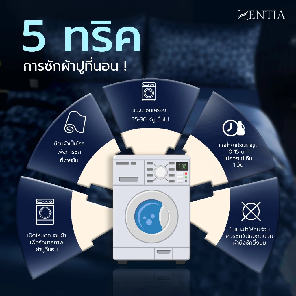 ZENTIA ชุดผ้าปูพร้อมผ้านวมรุ่น COOL LUXE ผ้าแพรพิมพ์ลาย EE thumbnail 9