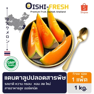 🇹🇭Oishi-fresh🍈แคนตาลูป หวานจัด ปลอดสารพิษ รสชาติกรอบ สด ใหม่ ใยอาหารสูง หวานออร์แกนิค เคลมได้ 1-2 วัน