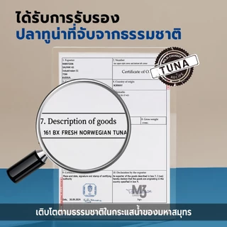 Bite Of Wild FARM อาหารแมวทูน่า ขนาด 4.5 กก. Grain free โปรตีนสัตว์ 90% เสริมโพรไบโอติกส์ สำหรับแมวกระเพาะอ่อนไหว