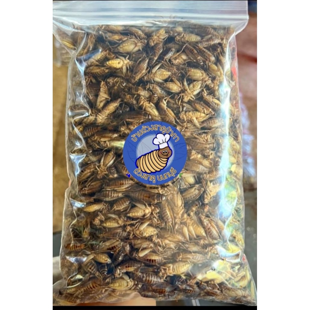 สะดิ้งต้มสุกไม่ใส่เกลือ ไม่ปรุงรสขนาด500g