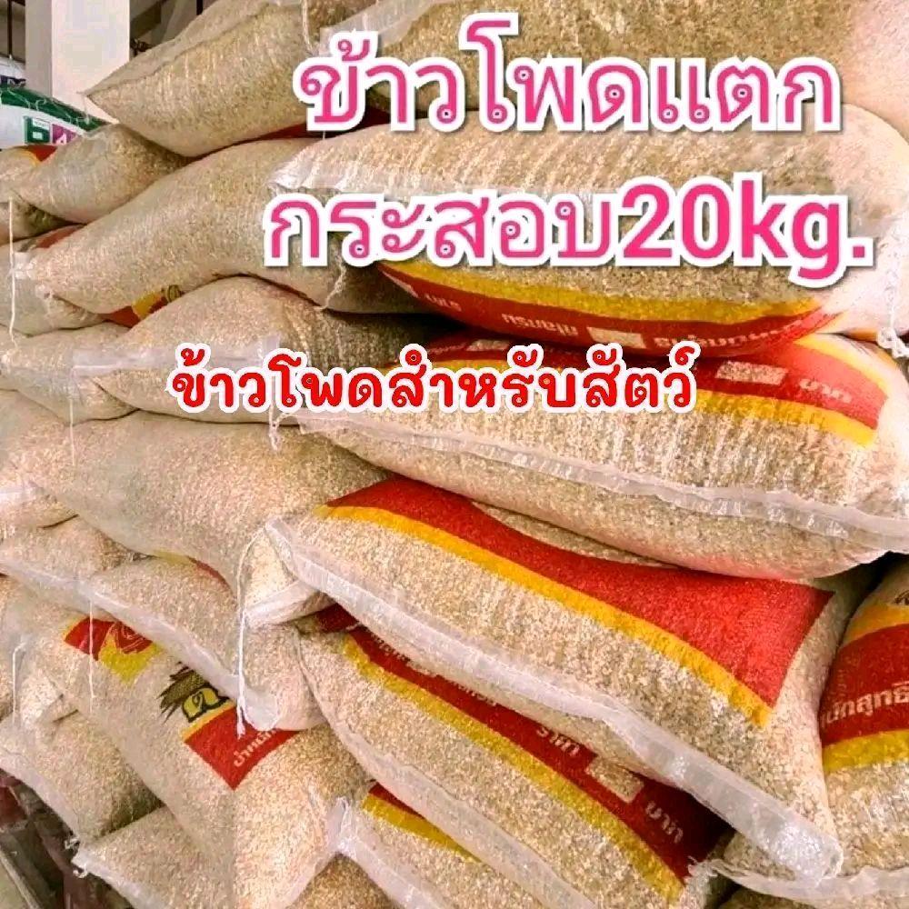 ข้าวโพดสำหรับไก่ ปีด ห่าน แบบแตก 20ก.ก. อาหารสำหรับไก่ ปีด ห่าน แบบแตก 20ก.ก. นะจ๊ะ