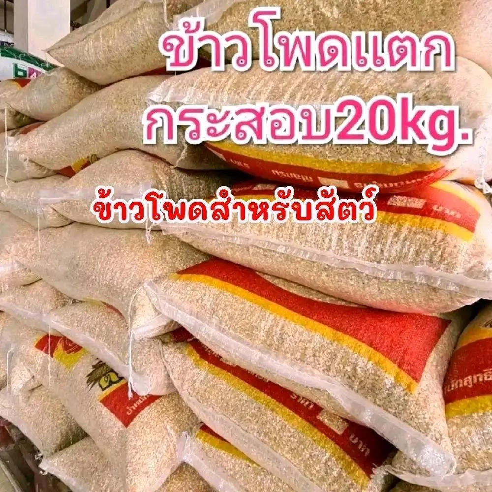 ข้าวโพดสำหรับไก่ ปีด ห่าน แบบแตก 20ก.ก. อาหารสำหรับไก่ ปีด ห่าน แบบแตก 20ก.ก. นะจ๊ะ