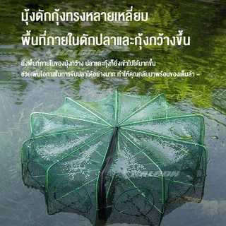 HALODN ตาข่าย ที่ดักกุ้งฝอย มุ้งดักปลา พับเก็บได้ กระชังดักปลา 6/8/10/16 ช่อง หกเหลี่ยม มุ้งดั