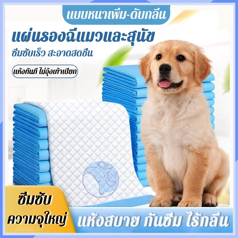 แผ่นรองปัสสาวะสัตว์เลี้ยง แผ่นรองปัสสาวะแมวและสุนัข ดูดซับความชื้นสูง ต้านแบคทีเรีย ควบคุมกลิ่น ฝึกนั่งถ่าย แผ่นดูดซับ
