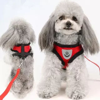 PETStar1🥇สายรัดสุนัขและแมว🥇 สวมใส่ง่าย ป้องกันการสูญหาย สายรัดแมว สายรัดสุนัข S-XL