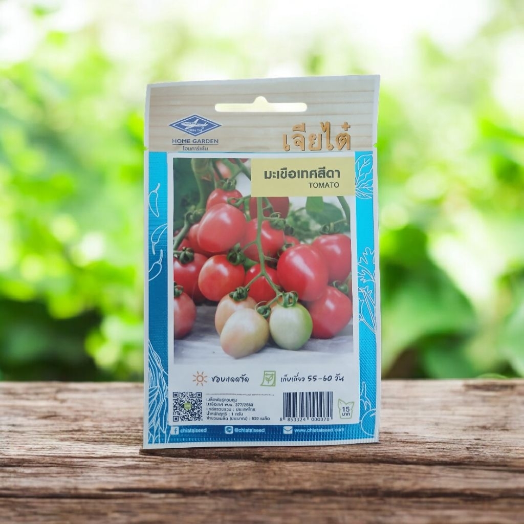 เมล็ดพันธุ์ มะเขือเทศสีดา TOMATO 🍅 (ตำส้มตำ) ตรา เจียไต๋