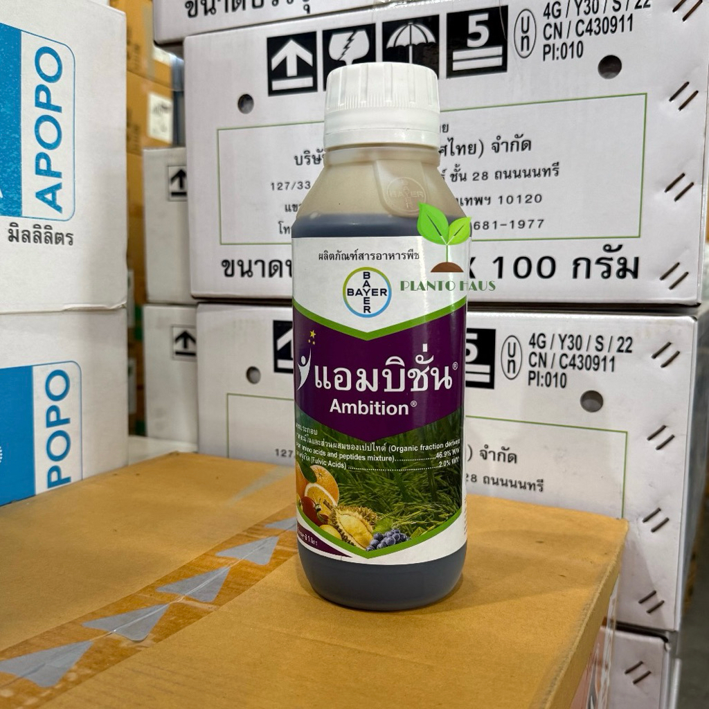 แอมบิชั่น Bayer ปุ๋ยบำรุงข้าว เพิ่มผลผลิต ข้าวรวงเต็ม เมล็ดสมบูรณ์ ต้นแข็งแรง 1ลิตร