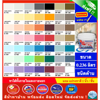(จัดส่งฟรี) เอสคลาส สีทาบ้าน สีน้ำอะคริลิคทาภายนอกและภายใน ขนาด 0.236 ลิตร [ฟรี! แปรงทาสี 1 นิ้ว]