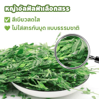 PETLUSCI หญ้ากระต่าย หญ้าอัลฟาฟ่า 1KG พรีเมี่ยม ใบล้วน อบลมร้อน ไม่สับ ไร้ฝุ่น กระรอก สำหรับ กระต่าย