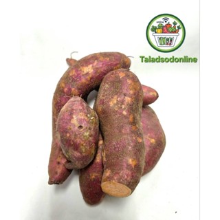 มันแครอท สด สะอาด รับประกันคุณภาพ