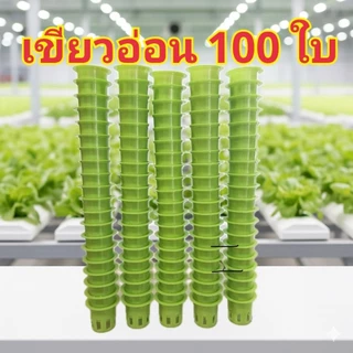 ถ้วยปลูกผักไฮโดรโปนิกส์ 100 ใบ เกรด Premium คุณภาพคับถ้วย