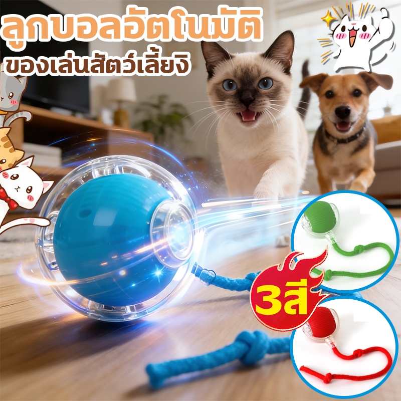 COD ของเล่นแมวอัจฉริยะ ลูกบอลแมวอัติโนมัติ หมุนได้ 360 องศา เรืองแสง USB ชาร์จ สําหรับฝึกสุนัข แมว ของใช้แมว