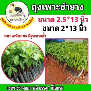 ถุงชำยาง ถุงเพาะชำยาง ขนาด 2*13 นิ้ว และ 2.5×13 นิ้ว ตรานกเงือกไทย คุณภาพดี หนาเหนียวทน (ขายเป็นกิโลกรัม)