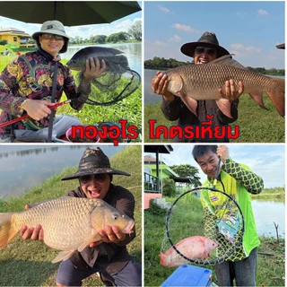 หัวใยแท้ โคตรเหี้ยม 100g/250g สำหรับผสมทำชิ้นเกี่ยว ตกปลานิล ยี่สก ตะเพียน