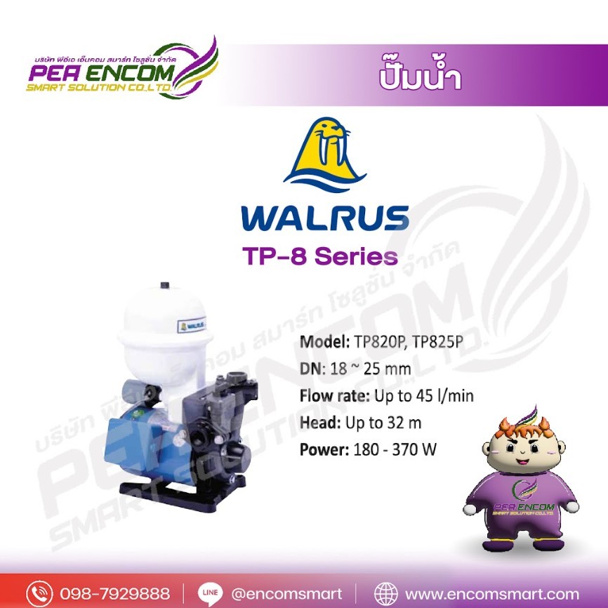 WALRUS ปั๊มออโต้ WALRUS 370W ขนาดท่อ 1นิ้ว TP825