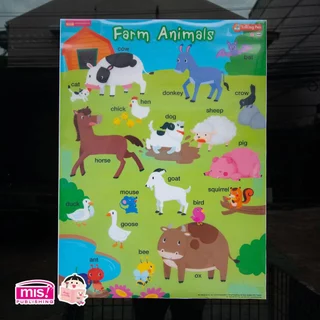 MISBOOK ยกชุดโปสเตอร์เด็ก โปสเตอร์พลาสติก 10 ชุด ใช้กับปากกาพูดได้ได้