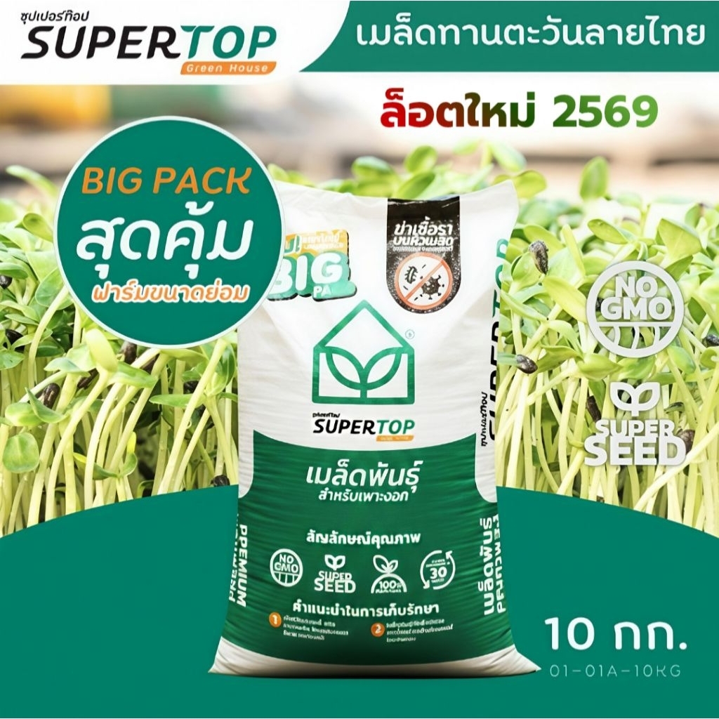 เมล็ดทานตะวันสำหรับเพาะต้นอ่อน (ลายไทยฤดูกาลใหม่ปี2569) กระสอบ 10 กิโล