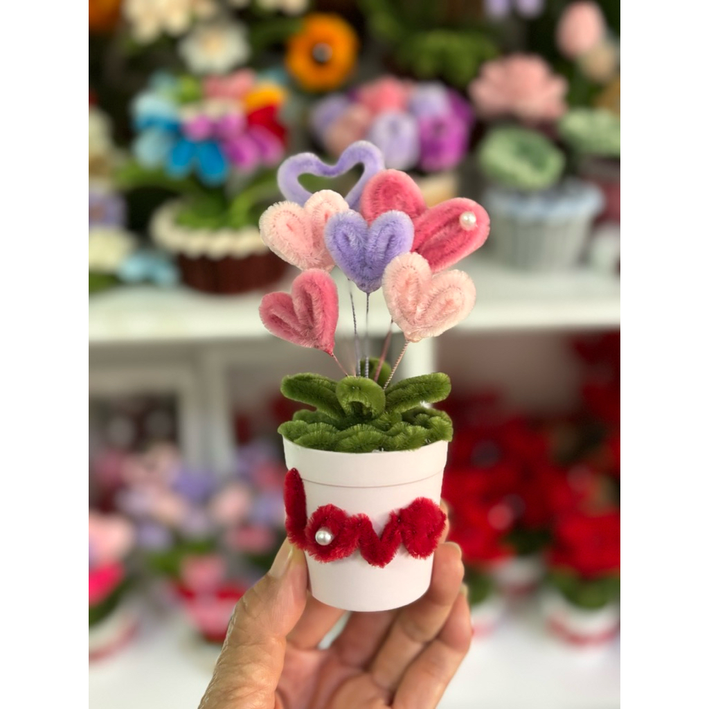 กระถางหัวใจวาเลนไทน์