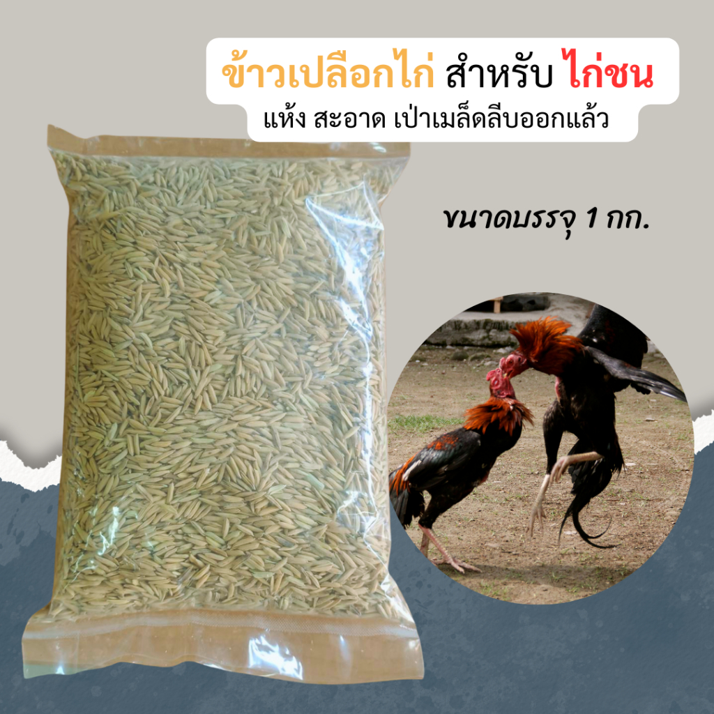 NSR ข้าวเปลือกสำหรับไก่ชน เป่าเมล็ดลีบออก เกรด A  สะอาด แบ่งขาย ขนาด 1 กก. ส่งของทุกวัน