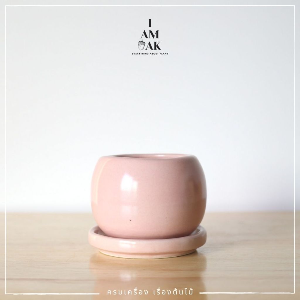 Minimalist Round Ceramic Pot with Narrow Opening [BY GS] - View 2