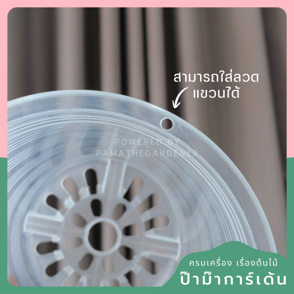 Clear Plastic Root Display Pots (6', 8', 10') - View 2