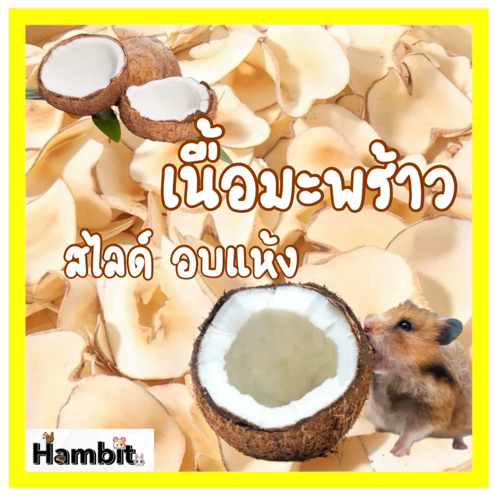 Hambit. เนื้อมะพร้าวสไลด์อบแห้ง สำหรับสัตว์ฟันแทะ50กรัม