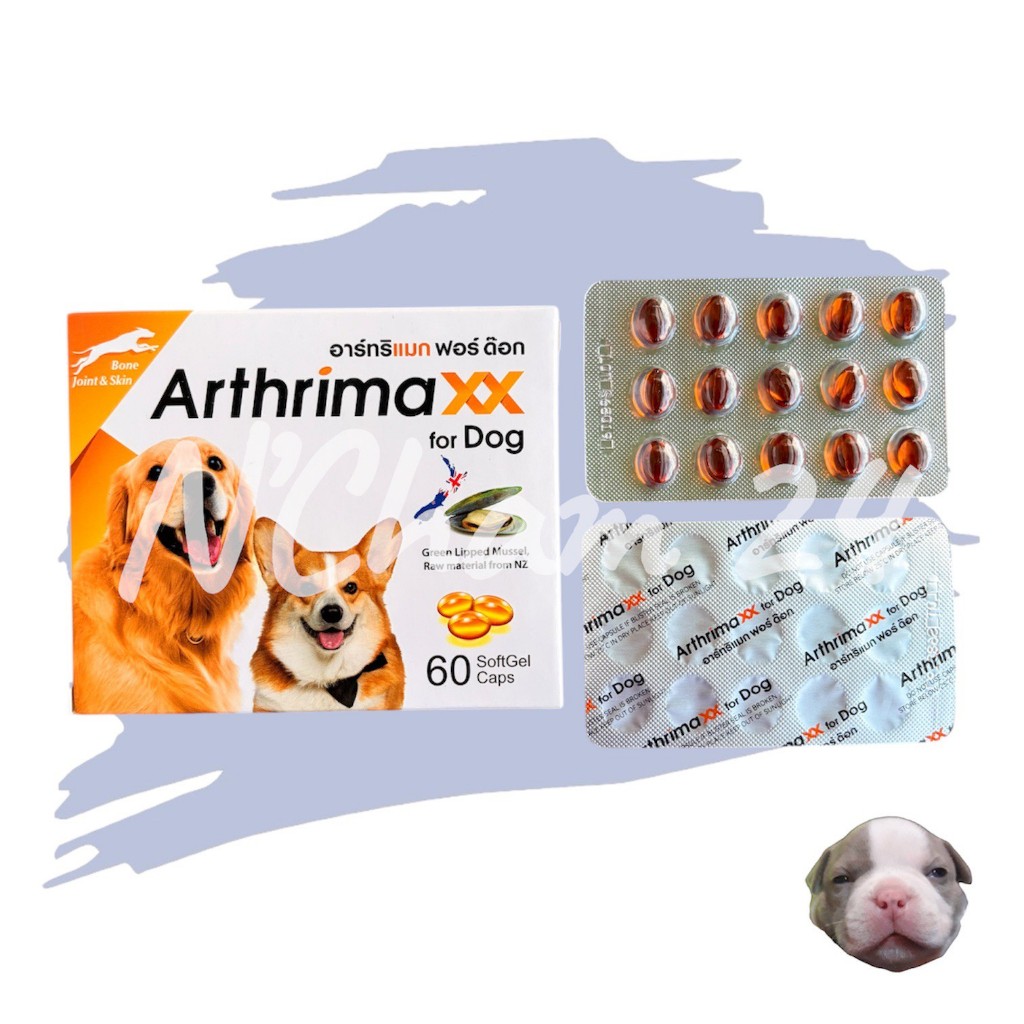 Arthrimaxx for Dog บรรจุ 60 เม็ด สำหรับสุนัข อาหารเสริมน้ำมันหอยแมลงภู่นิวซีแลนด์ Omega-3 บำรุงข้อ