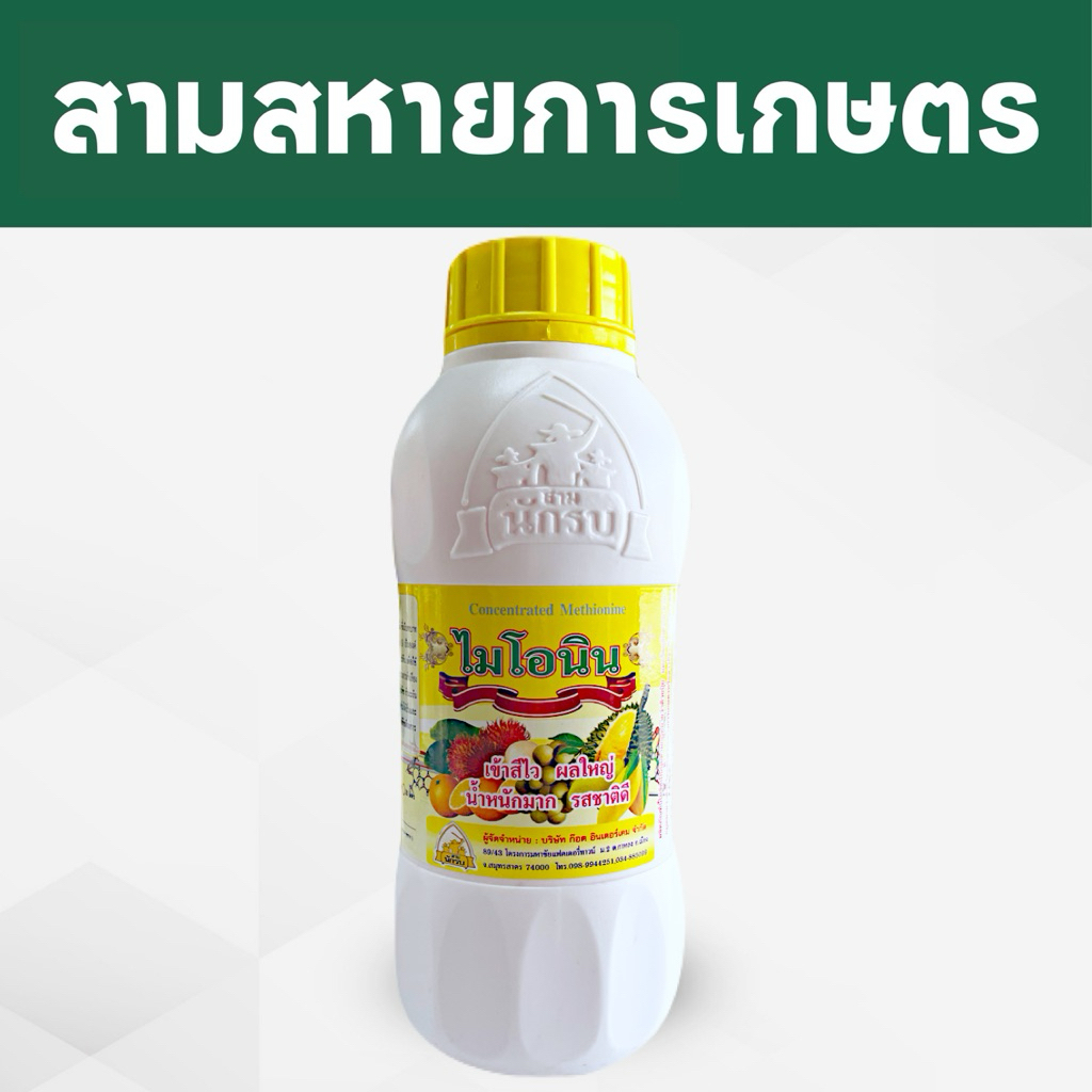 ไมโอนิน : เข้าสีไว ผลใหญ่ น้ำหนักมาก รสชาติดี ไม่บีบลูก ขนาด1ลิตร