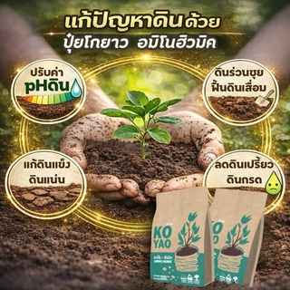 ไม้ดอกไม้ประดับ ปุ๋ยอะมิโนฮิวมิค สูตรสำหรับต้นไม้ ลำต้นแข็งแรง ต้นอวบ โตไว ดอกสวย ใบเขียว รากแข็งแรง