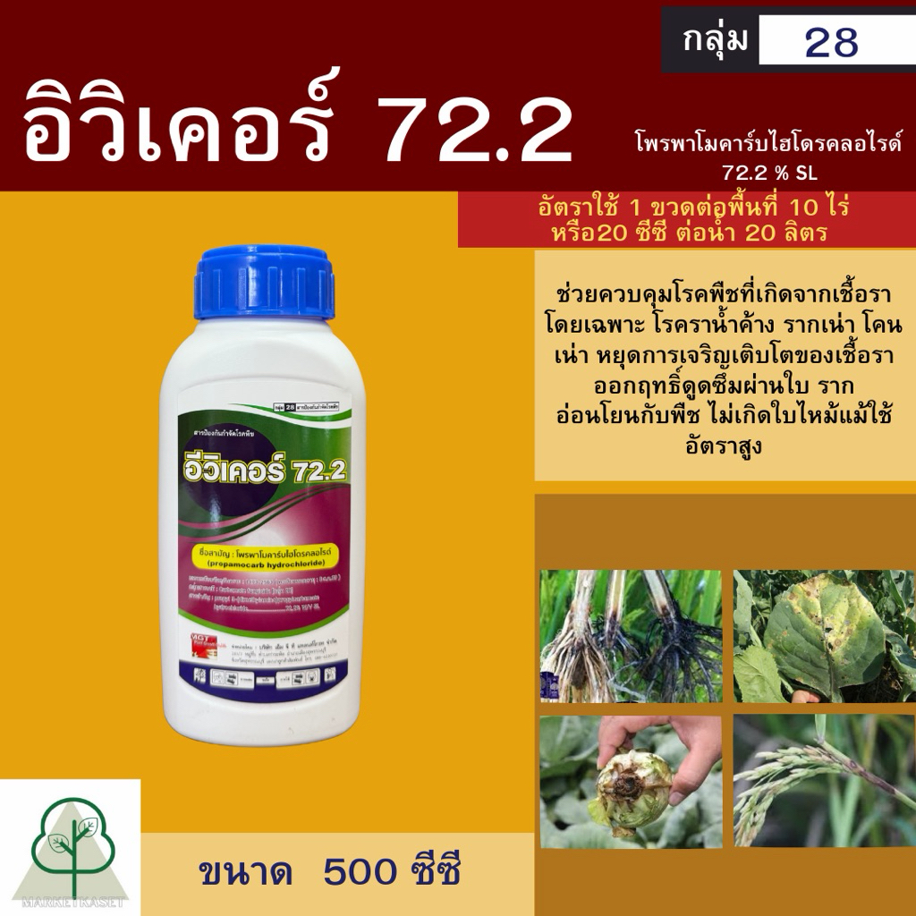 อิวิเคอร์72.2 500ซีซี (โพรพาโมคาร์บไฮโดรคลอไรด์ 72.2%) กำจัดโรคเน่าคอดิน ใบแห้ง ใบเน่า