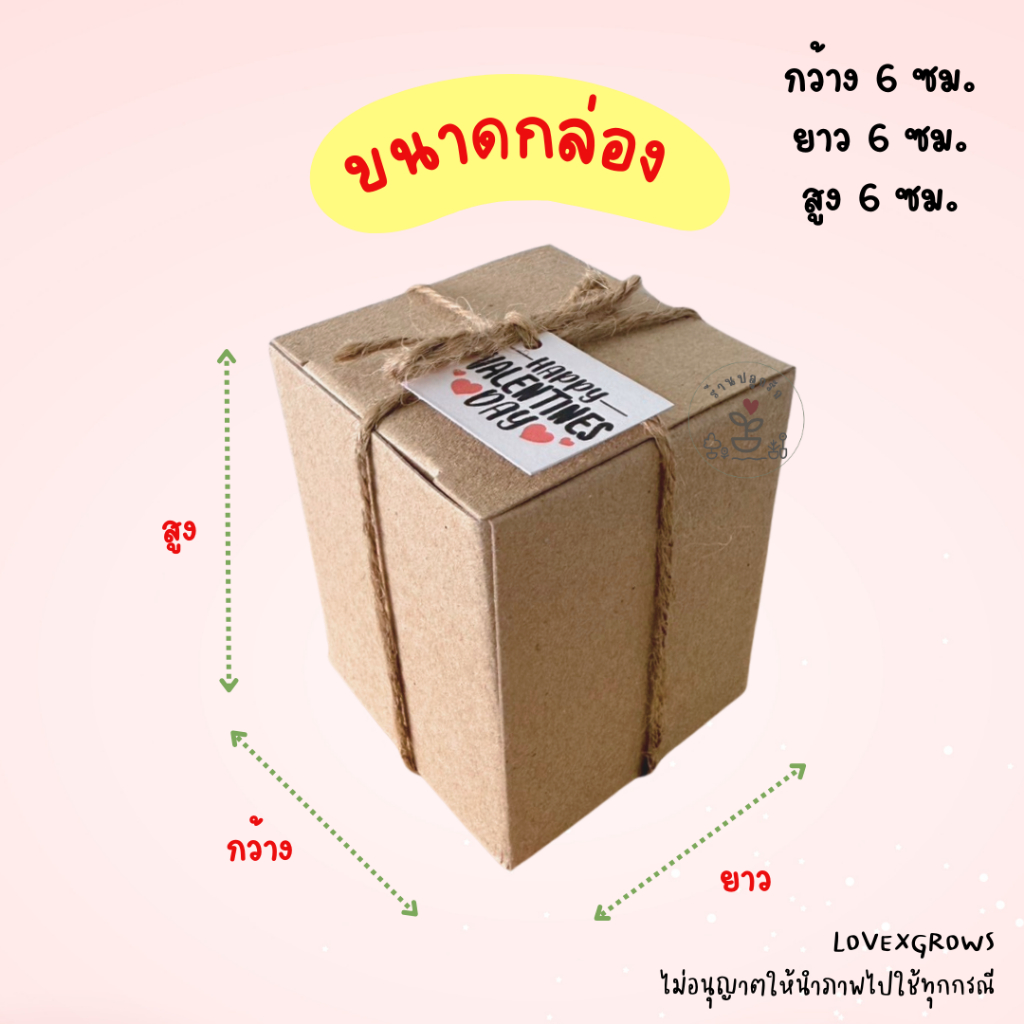 LXG : ชุดปลูกดอกไม้ มินิปลูกรัก เซ็ท Happy Valentine's Day ของขวัญวาเลนไทน์ - รูปที่ 3