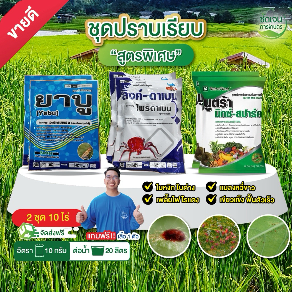 ชุดปราบเรียบ สูตรพิเศษใบหงิกใบด่างเพลี้ยไฟเพลึ้ยแฟ้งในมันสำปะหลัง 1 ชุด 5 ไร่
