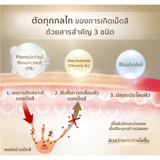 AMT Anti-aging & Intensive Moisturizing Eye Cream 15 g - อายครีมลดเลือนริ้วรอย เติมความชุ่มชื้น ลดความหมองคล้ำ
