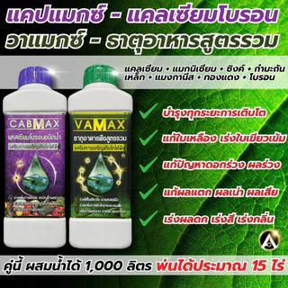 (C1+V1+Z1)ชุด 3 สูตร CABMAXแคลเซียมโบรอน+VAMAXธาตุรวม+ZENMAXอะมิโนรวม